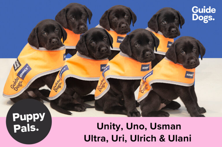 U-nique U-Litter names chosen by U