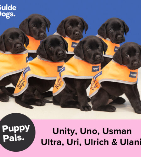 U-nique U-Litter names chosen by U