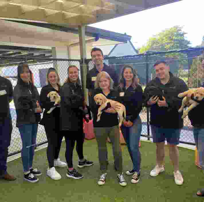 A group of people holding puppies in the Guide Dogs nursery.