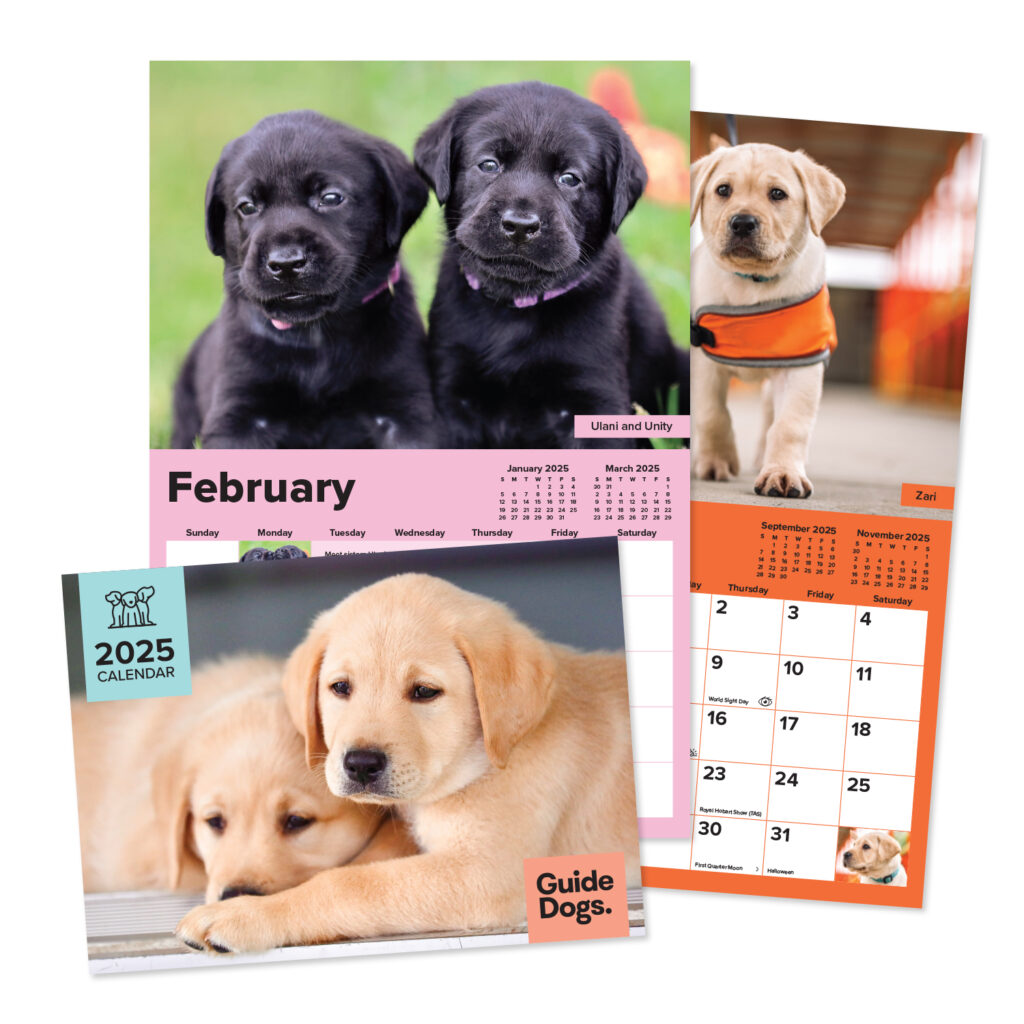 2025 Guide Dogs Calendar (A4 Size) Guide Dogs Queensland