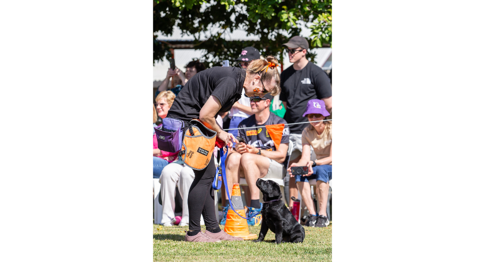 A black Labrador puppy sitting on the grass and looking up at its trainer. A crowd of spectators are watching in the background.