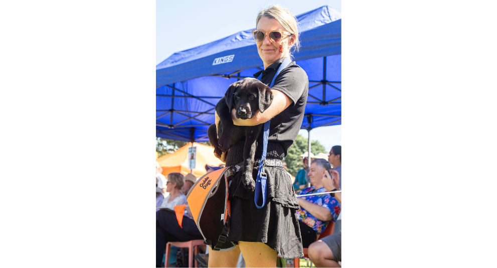 A puppy trainer holding a black Labrador puppy