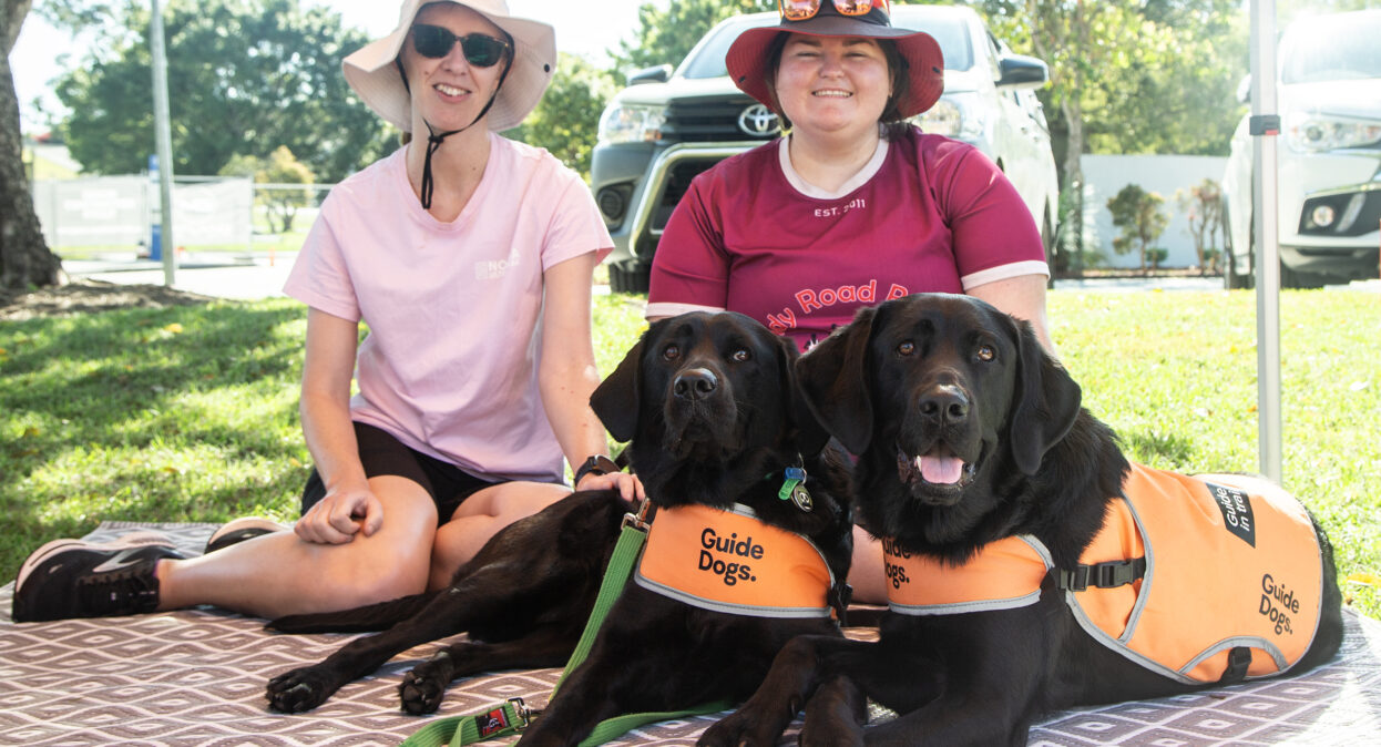 Two black Labradors in orange training coats laying side by side and looking at the camera. Two women are sitting behind the dogs giving them a pat and looking at the camera.