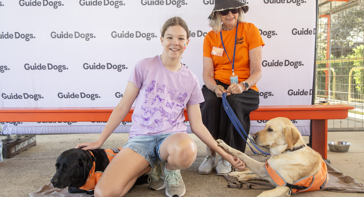 A girl is kneeling down to pat two dogs in orange training coats. The girl is smiling at the camera as she pats the dogs.