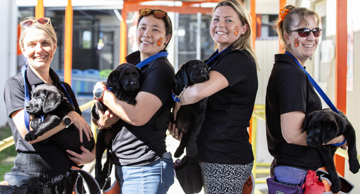 Four puppy trainers stand in a row, each holding a black Labrador puppy and smiling at the camera.