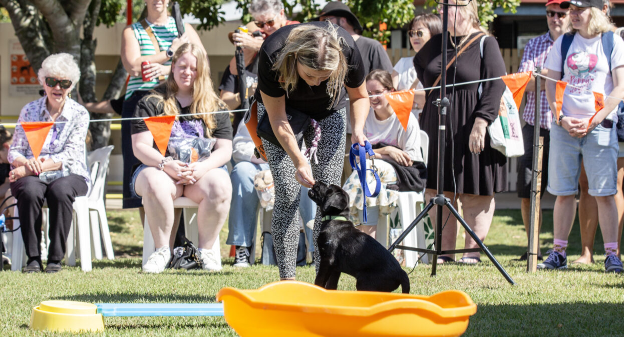 A puppy training is reaching down to give a black Labrador puppy a treat as a crowd of spectators watch the demonstration.