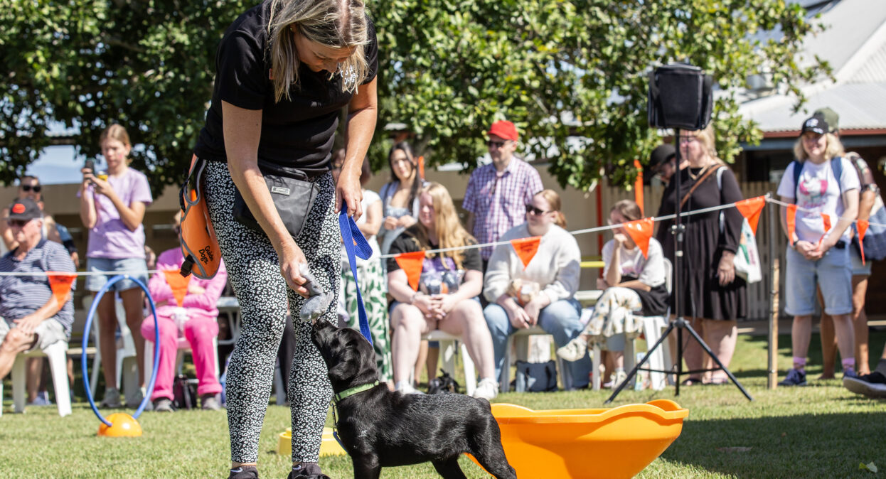 A puppy training is reaching down to give a black Labrador puppy a treat as a crowd of spectators watch the demonstration.
