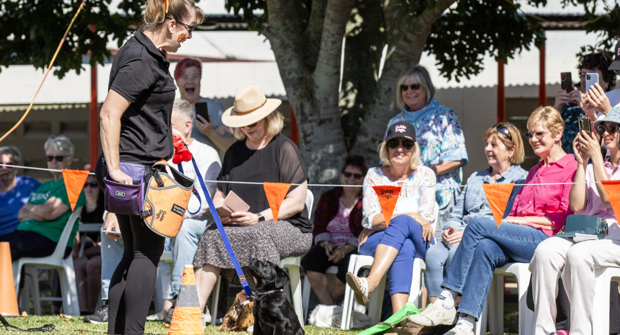 A black Labrador puppy sitting on the grass and looking up at its trainer. The trainer is reaching into her training pouch to get a treat and has an excited look on her face. A crowd of spectators are watching and taking photos on their phones.