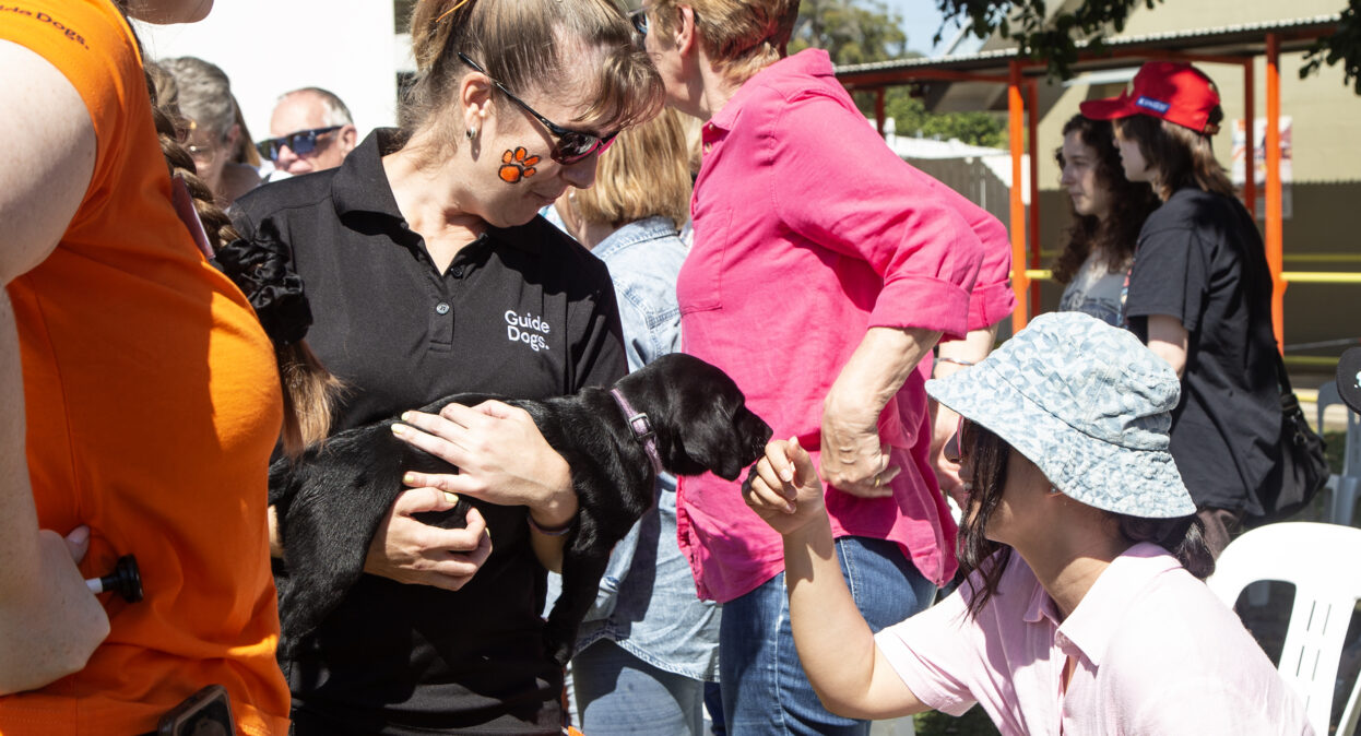 A puppy trainer holding a black Labrador puppy as a girl reaches out her hand for the puppy to sniff.