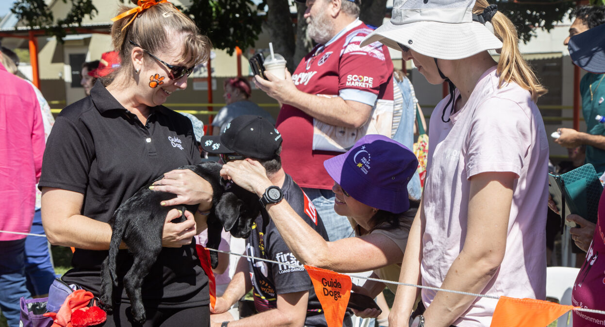 A puppy trainer holding a black Labrador puppy as a lady pats the puppy.