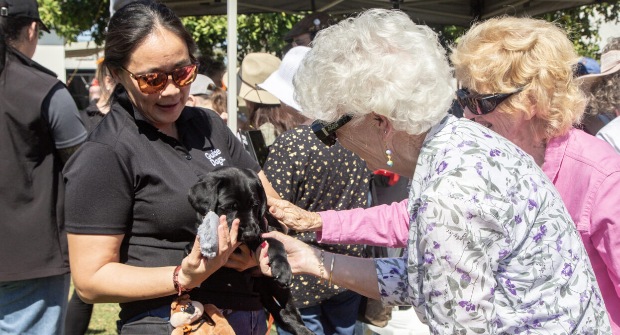 A puppy trainer holding a black Labrador puppy as two ladies pat the puppy.