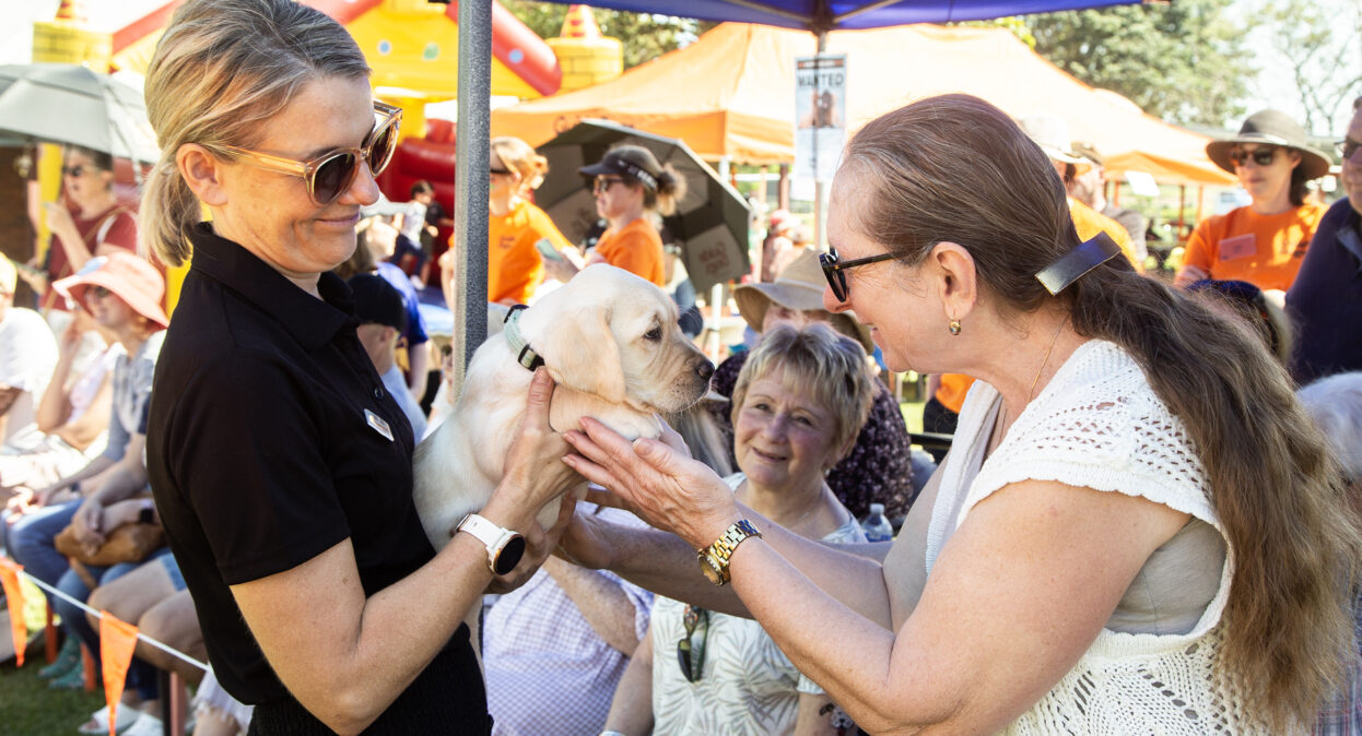 A puppy trainer holding a yellow Labrador puppy as a lady pats the puppy.