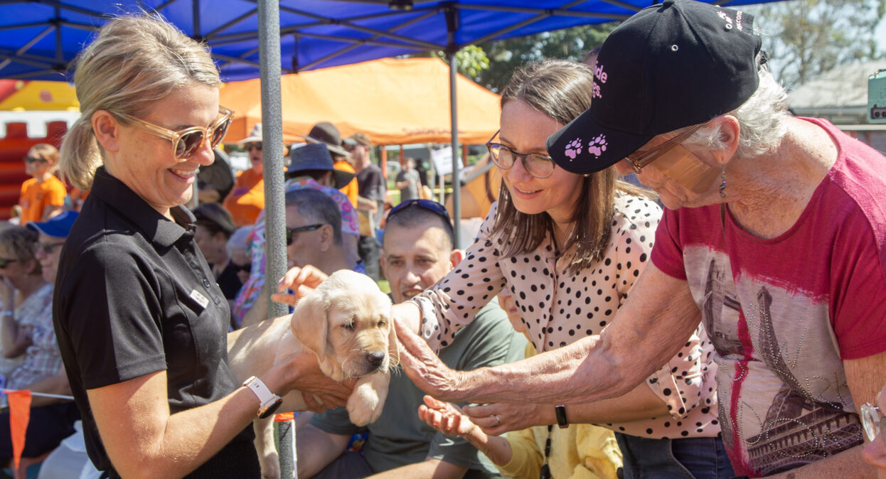 A puppy trainer holding a yellow Labrador puppy as a two ladies pat the puppy.