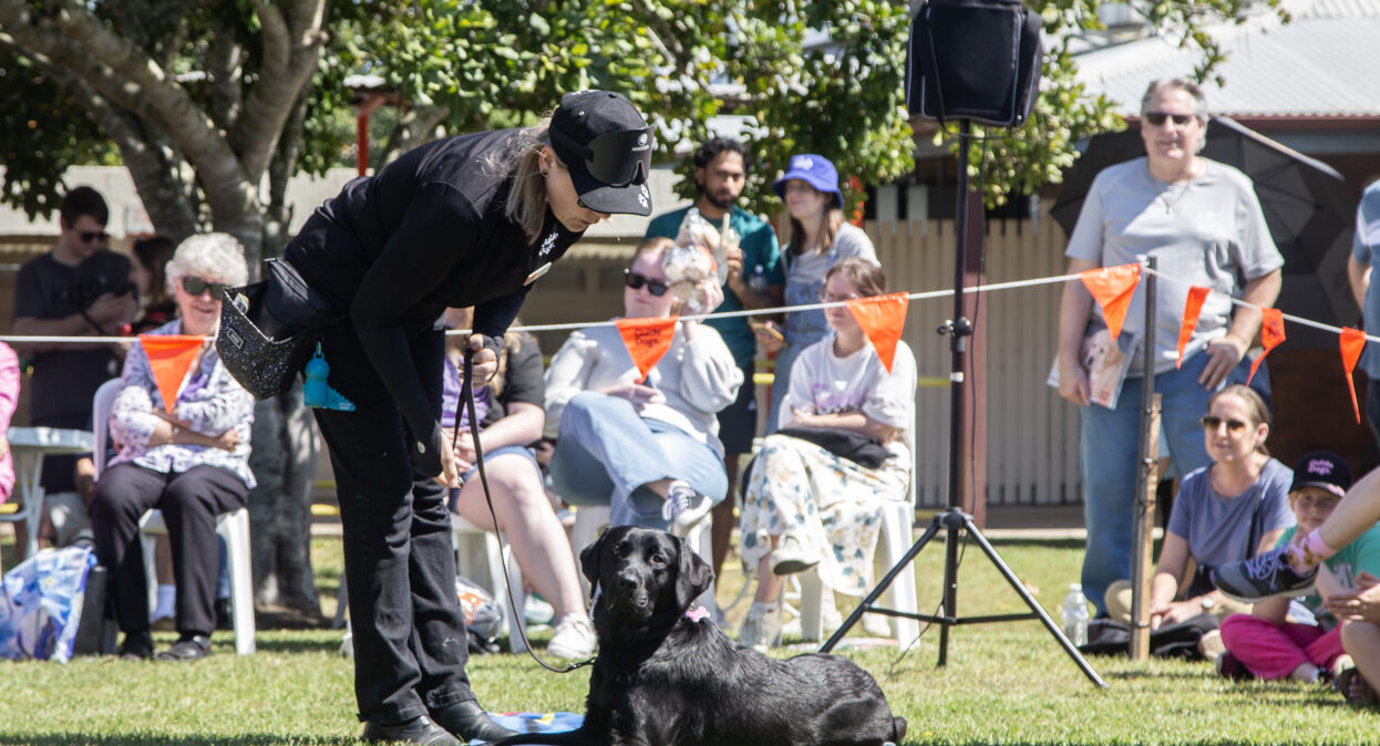 A black Labrador is laying on the grass and looking towards the camera. A Guide Dog trainer is standing beside the dog and giving a command.