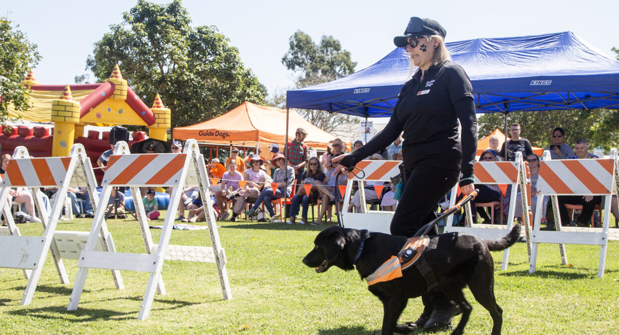 A Guide Dog Trainer walking with a black Guide Dog in an arena with obstacles. A crowd of spectators in the background are watching the demonstration.