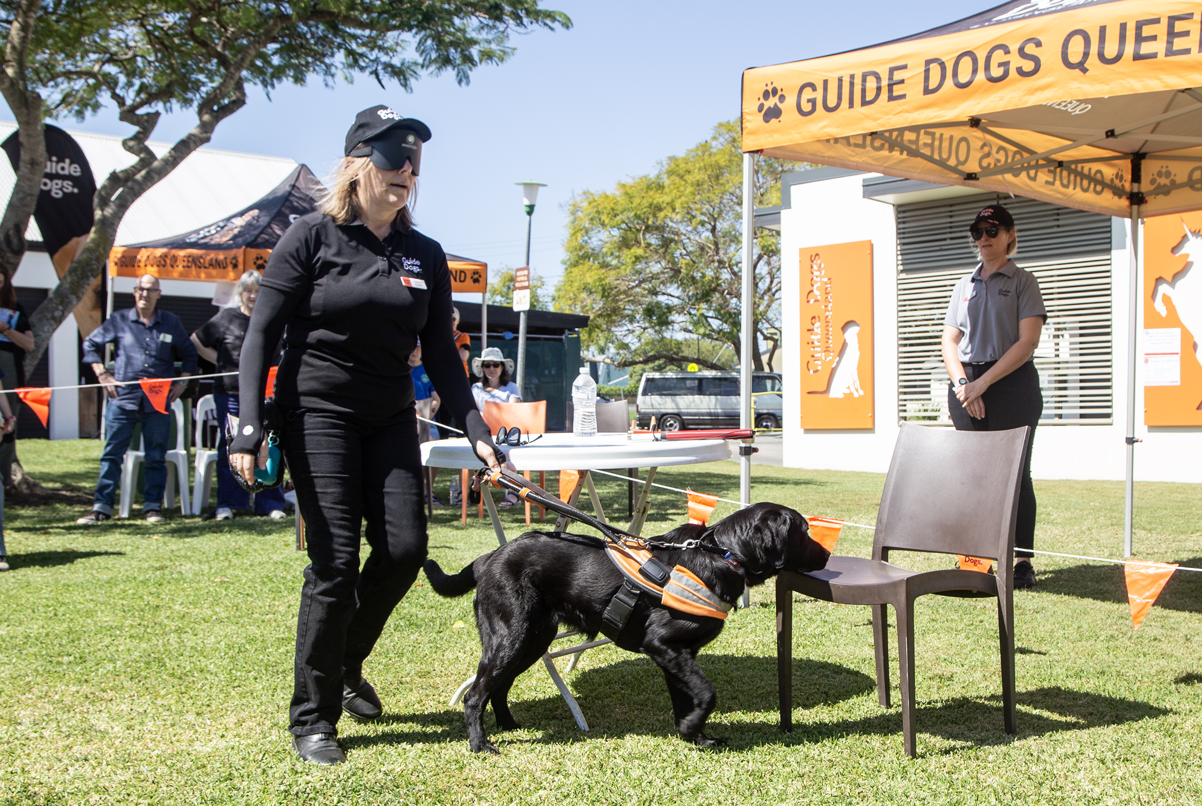 A Guide Dog Trainer under blindfold walking with a Guide Dog. The Guide Dog is putting it's nose on a chair to help the Handler locate the chair.