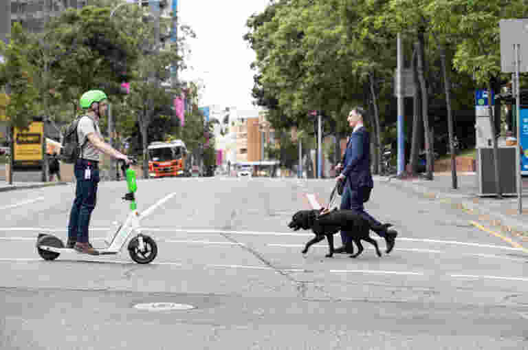 Guide Dog Handler is walking across the street with his Guide Dog. A person on an electric scooter is passing them from the other direction.