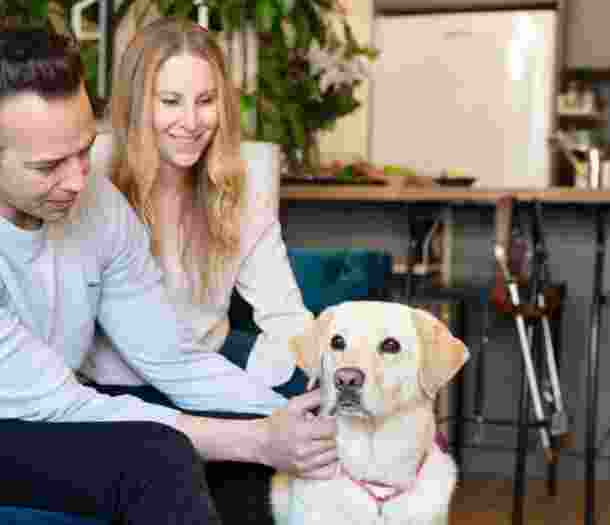 Image shows a man and woman gently petting a yellow Labrador in a kitchen-living space, with a guide dog harness visible nearby.