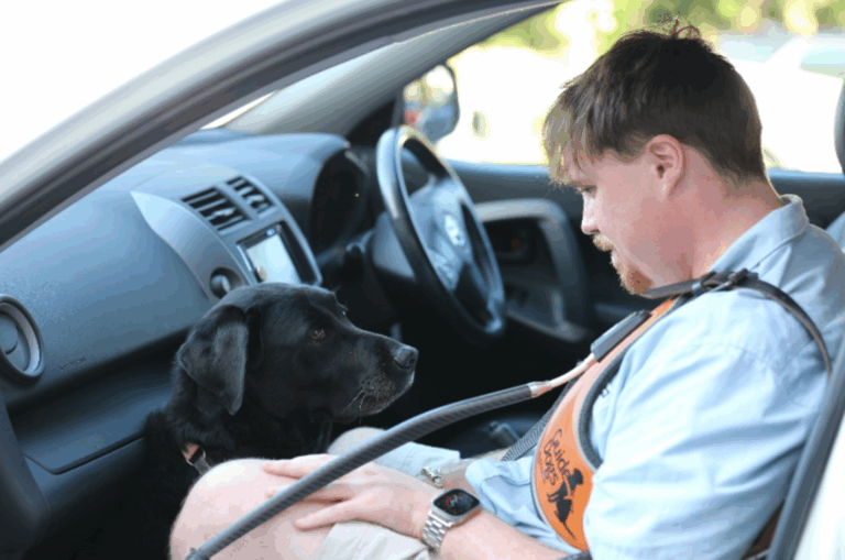 Image shows a man seated in a car with a black guide dog resting its head on his lap