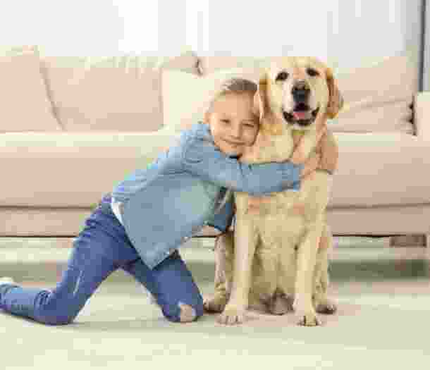 Image shows a girl hugging a yellow labrador in a lounge room