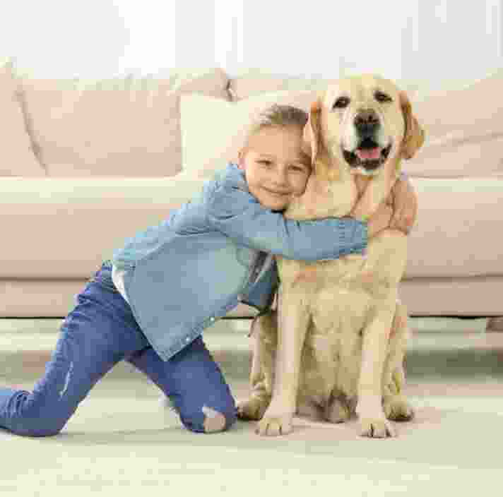 Image shows a girl hugging a yellow labrador