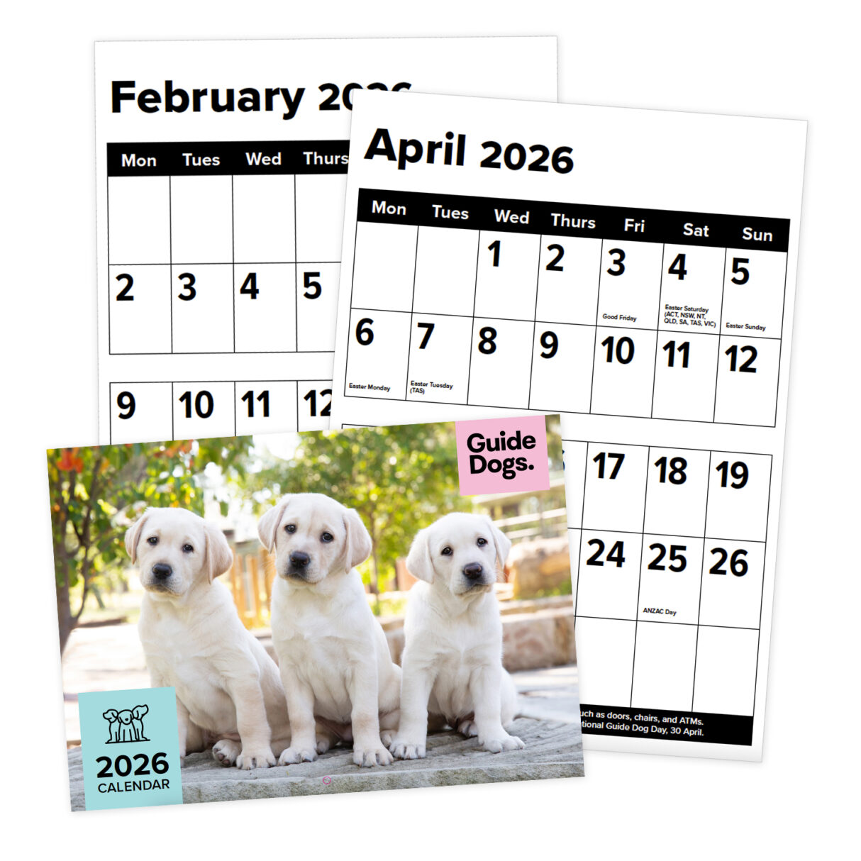 guide-dogs-2026-a3-large-print-calendar-guide-dogs-queensland
