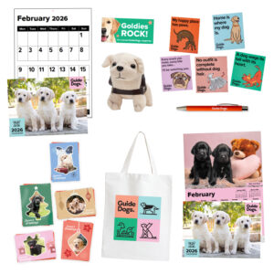 A3 Large Print Supporter Pack