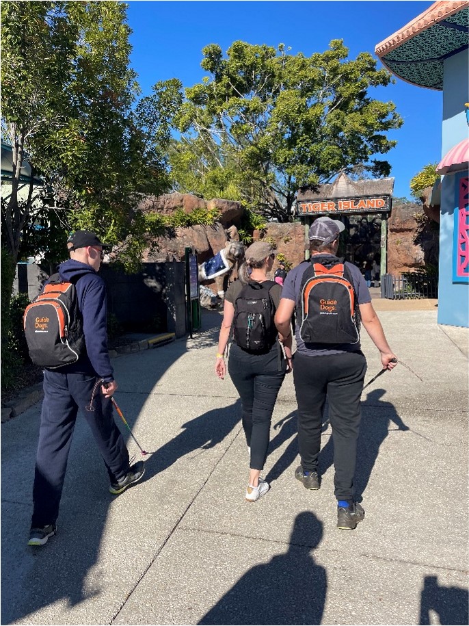 Image shows three Mobility Camp participants with Guide Dogs backpacks walking toward the Tiger Island entrance at a theme park, accompanied by a support worker. Two use white canes, and all are enjoying the sunny day.