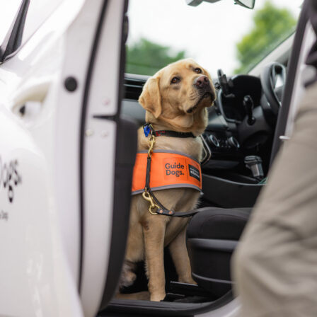 Travelling through the festive period?