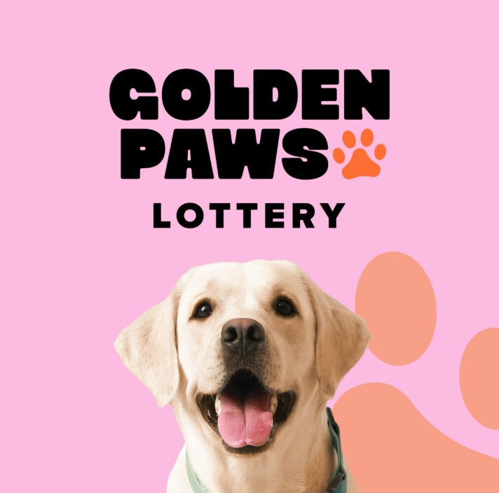 A website banner with a cheerful Labrador dog smiling at the viewer against a pink background. The text "GOLDEN PAWS LOTTERY" is prominently displayed in black, with an orange paw print graphic