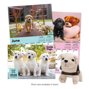 A4 Calendar and 10cm Plush Pup