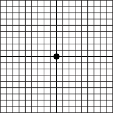 An amsler grid