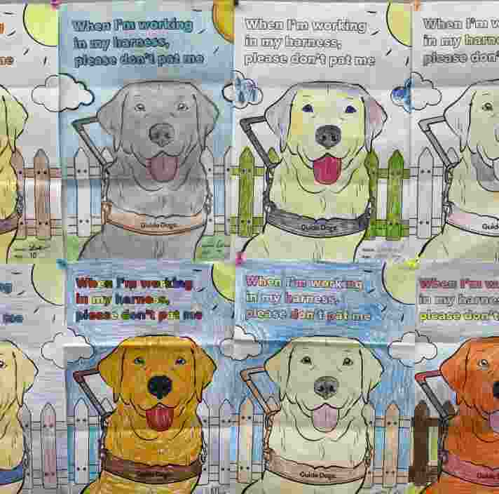 colourig in competition posters which have been coloured with pencils